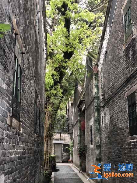細數廣州那些景美人少的小眾景點，廣州小眾景點有哪些值得去？
