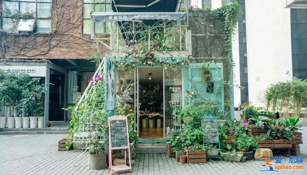 深圳新晉網紅景點打卡，深圳網紅景點一日游，深圳一日游網紅景點攻略？