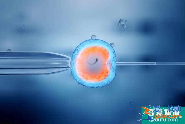 試管嬰兒是不是一定要內膜達標才能著床? 試管嬰兒是不是一定要內膜達標才能著床?