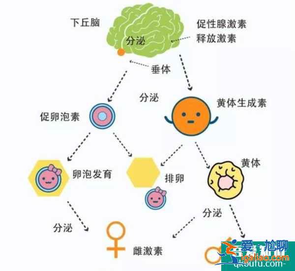 年輕女性做試管嬰兒，心理狀態(tài)是成敗的關(guān)鍵??？