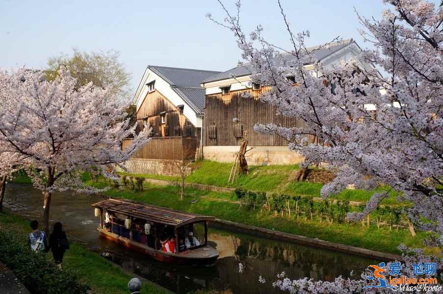 京都伏見一日游怎么玩？京都伏見一日游怎么安排？京都伏見一日游攻略？