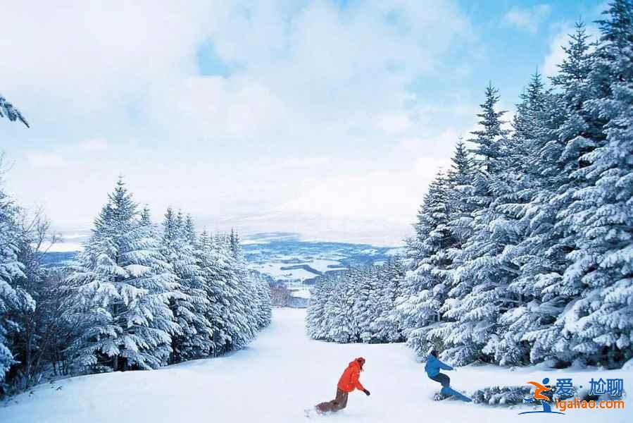 北海道哪里可以滑雪?北海道有適合孩子的滑雪場嗎?北海道滑雪場攻略? 北海道哪里可以滑雪?北海道有適合孩子的滑雪場嗎?北海道滑雪場攻略?