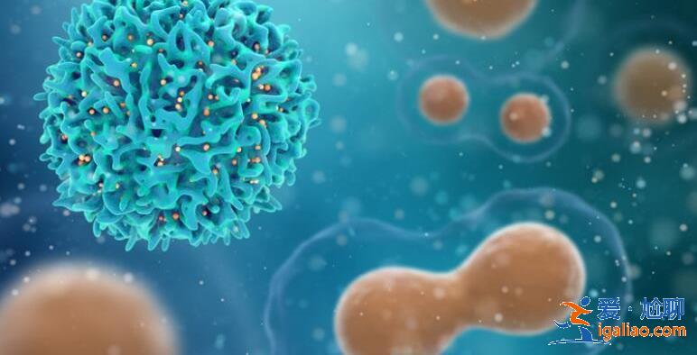 全國疫情大概到什么時候結束 中國疫情結束時間預測? 全國疫情大概到什么時候結束 中國疫情結束時間預測?