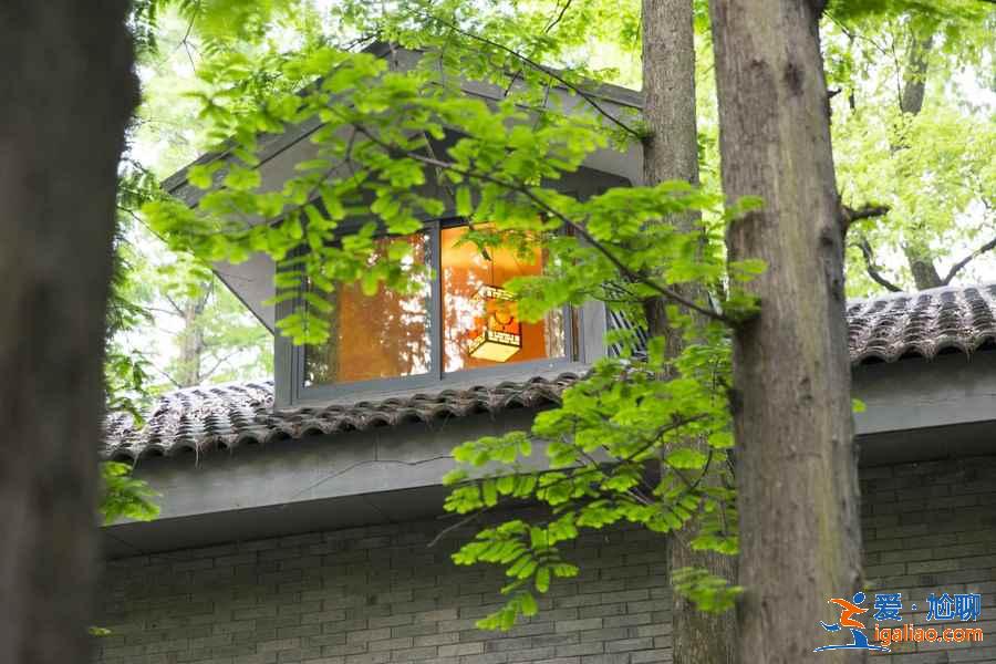 西湖一日游路線，西湖一日游怎么安排，西湖一日游如何規(guī)劃？