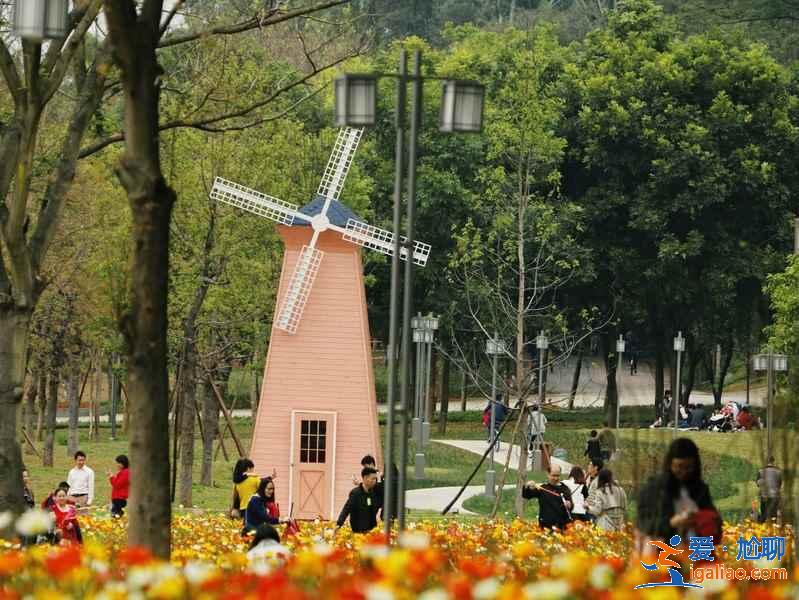 佛山一日游可以去哪玩，佛山一日游景點推薦，佛山一日游玩攻略？
