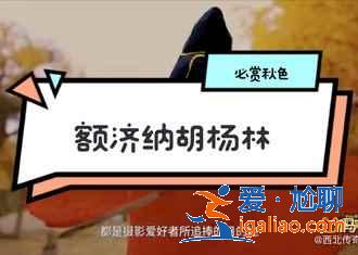 中秋三天去哪玩，2018中秋節三天去哪里玩好？