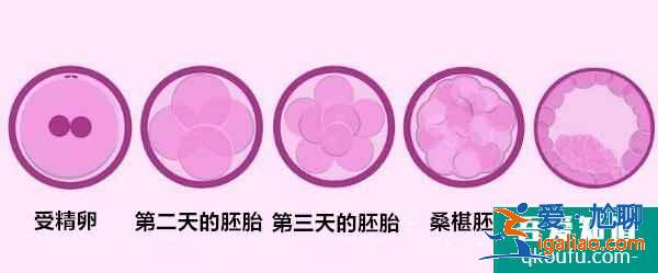 大齡女性去做試管嬰兒的注意事項有哪些?如何實現好孕?? 大齡女性去做試管嬰兒的注意事項有哪些?如何實現好孕??