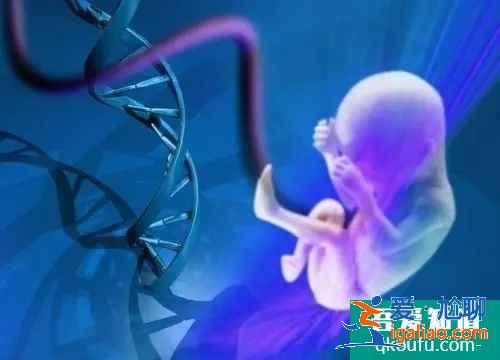 試管移植后知道哪些注意事項(xiàng)才能成功率高？？