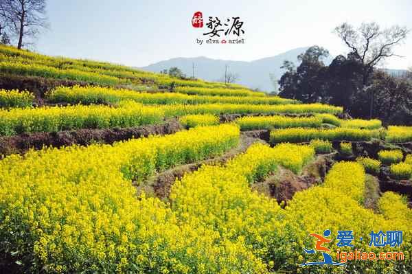 五一去江西哪里玩好，五一江西哪個城市好玩？
