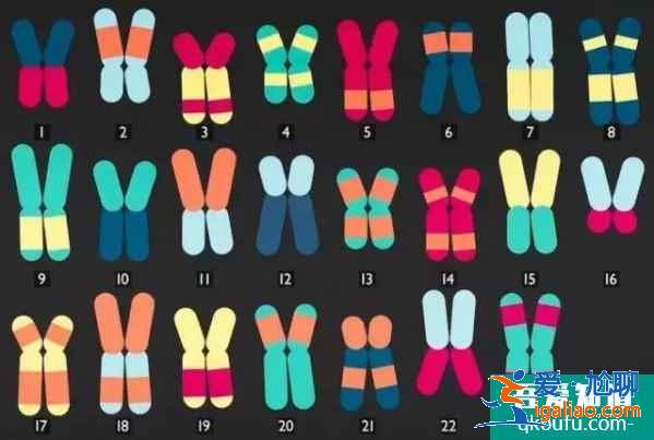 試管嬰兒專家:生三孩,一定要注重胚胎的基因篩查? 試管嬰兒專家:生三孩,一定要注重胚胎的基因篩查?