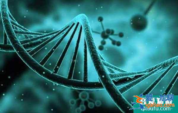 試管嬰兒專家:生三孩,一定要注重胚胎的基因篩查? 試管嬰兒專家:生三孩,一定要注重胚胎的基因篩查?