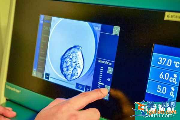 去做試管嬰兒，具體步驟是什么?？