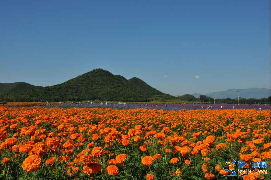 中秋節去北京有什么好玩的,2018中秋節北京天氣怎么樣? 中秋節去北京有什么好玩的,2018中秋節北京天氣怎么樣?