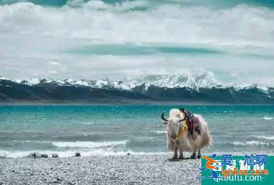 冬天旅游推薦地 冬天應該去哪些地方旅游呢? 冬天旅游推薦地 冬天應該去哪些地方旅游呢?