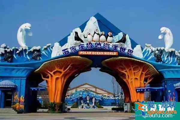 石家莊動(dòng)物園極地海洋世界即將在2022年1月1日正式開放？