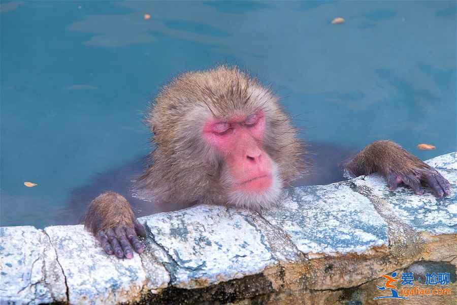 和家人去北海道哪里泡溫泉?和家人去北海道溫泉哪里好?北海道泡湯指南? 和家人去北海道哪里泡溫泉?和家人去北海道溫泉哪里好?北海道泡湯指南?