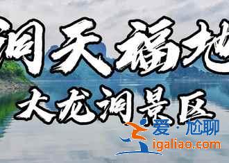【南寧上林向日葵】上林葵花什么時候開，上林向日葵在哪里？