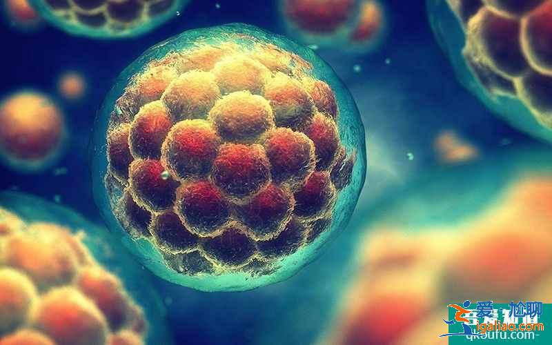 自然周期不排卵可以做囊胚移植手術嗎? 自然周期不排卵可以做囊胚移植手術嗎?