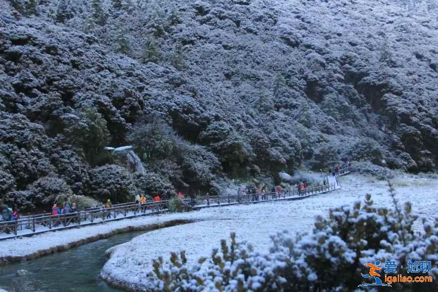 稻城亞丁9月飄雪,銀裝素裹美cry? 稻城亞丁9月飄雪,銀裝素裹美cry?