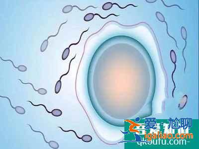 做試管嬰兒吃什么好？需要大補(bǔ)嗎？？