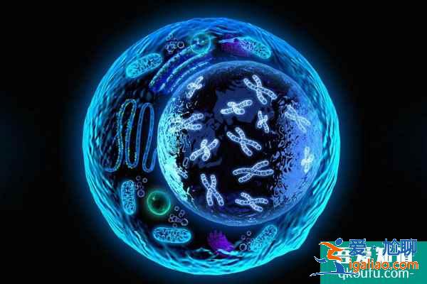 國人選擇試管嬰兒，其原因可總結為以下5點？
