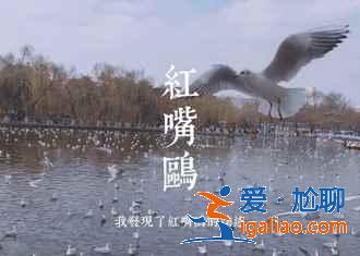 【2018年前去哪玩】年前去哪里旅游，年底去哪里旅游比較好？