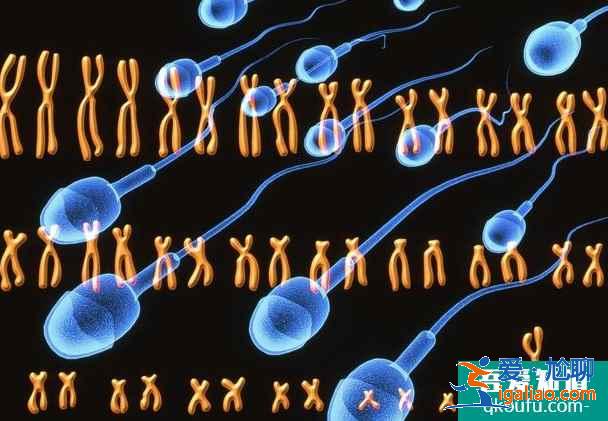 第七次人口普查|數據顯示我國二胎生育率明顯提升！？
