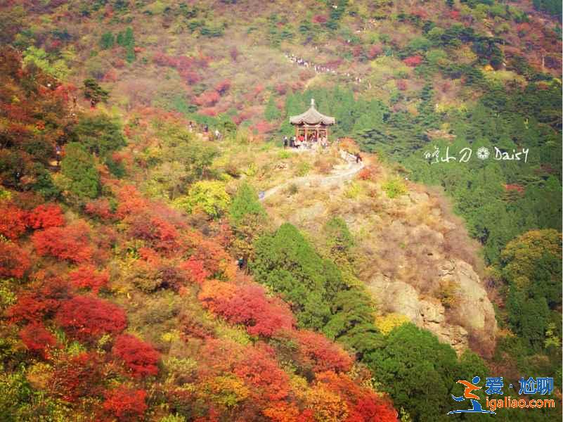 【國慶北京香山紅葉能看嗎】北京國慶節(jié)去哪里看紅葉，國慶節(jié)北京看紅葉的地方？
