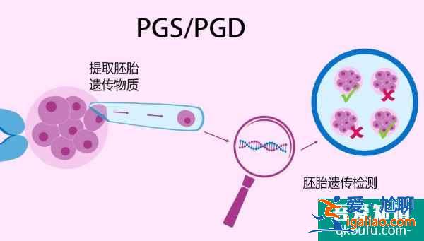 試管嬰兒專家：赴美IVF前遠離輻射、提高精卵質量？