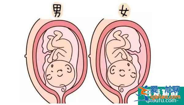 都說去做試管嬰兒的性價比非常高，體現在哪些方面？？
