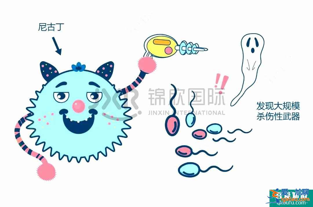 試管嬰兒專家告訴您：五一小長假如何調(diào)理子宮內(nèi)環(huán)境?？