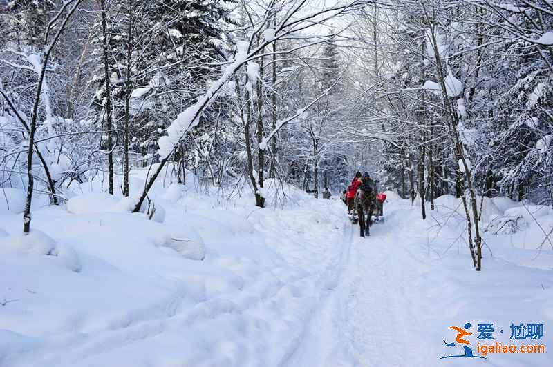 國內(nèi)1月下雪的地方，國內(nèi)一月有雪的地方？