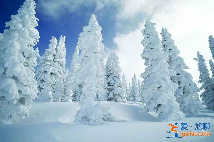 國內(nèi)1月下雪的地方，國內(nèi)一月有雪的地方？
