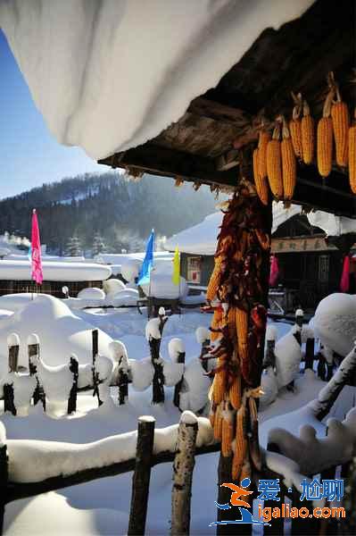 【雪鄉天氣1、2月天氣預報】雪鄉天氣冬季多少度，雪鄉天氣預報？