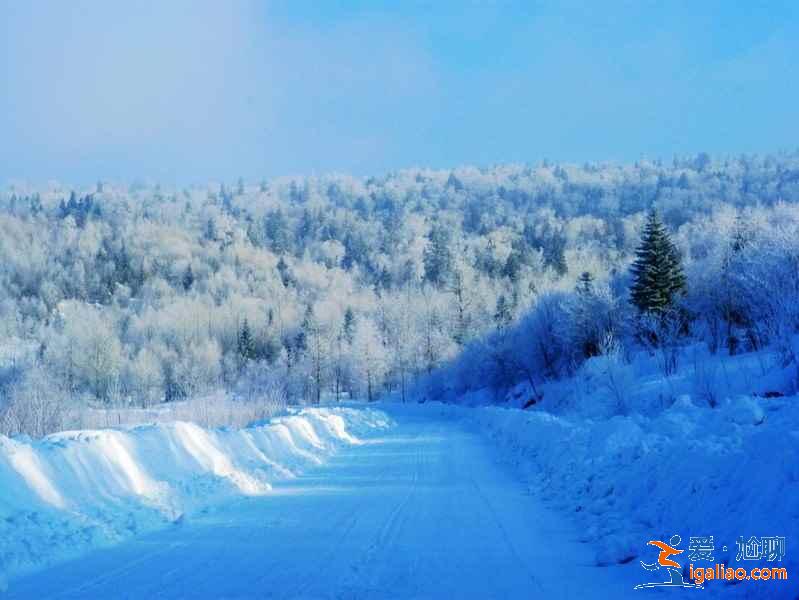 【雪鄉天氣1、2月天氣預報】雪鄉天氣冬季多少度，雪鄉天氣預報？