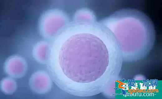 想要提高試管成功率有什么方法？如何提高卵子質量？？