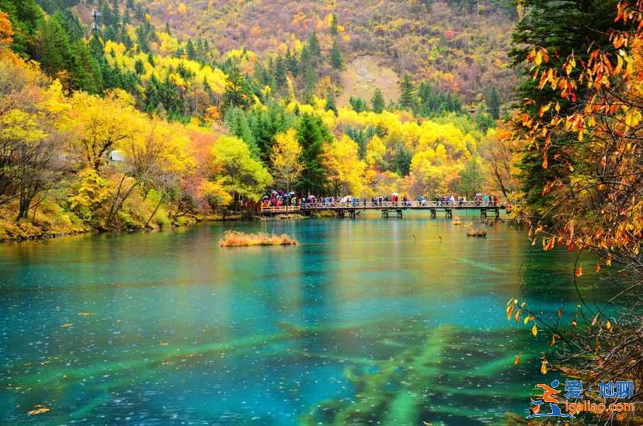 10月11月適合去哪里旅游，深秋去哪旅游最好？