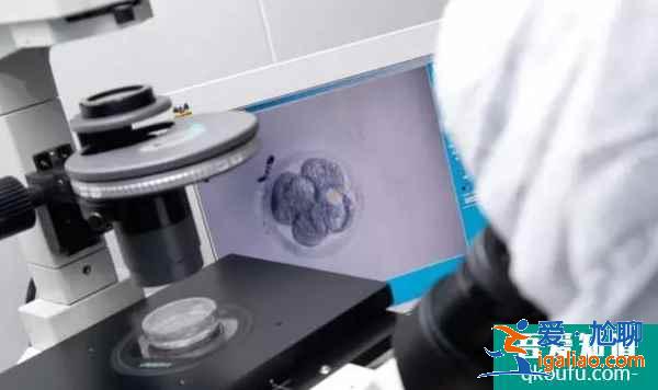 精子活力低,試管嬰兒技術如何提高精卵結合成功率?? 精子活力低,試管嬰兒技術如何提高精卵結合成功率??