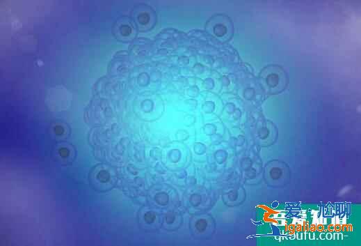 想要提高試管成功率有什么方法？如何提高卵子質量？？