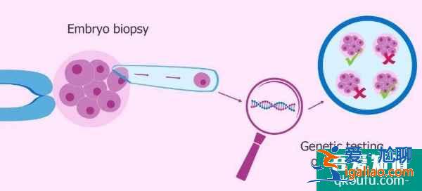 生化妊娠多久才可以繼續(xù)進周做泰國試管嬰兒？？