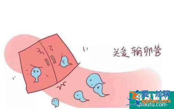 輸卵管積水還能做試管嬰兒嗎?是否會對試管成功率有影響?? 輸卵管積水還能做試管嬰兒嗎?是否會對試管成功率有影響??