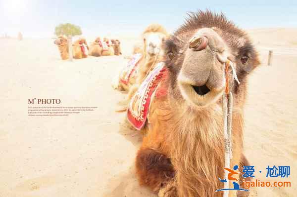 【2018敦煌國慶十一天氣預報】2018敦煌國慶十一天氣怎么樣? 【2018敦煌國慶十一天氣預報】2018敦煌國慶十一天氣怎么樣?