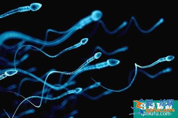 試管嬰兒技術如何助男性染色體客人生健康寶寶？？