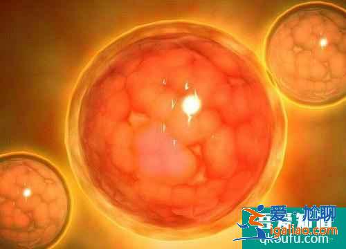 俄羅斯試管嬰兒需要做哪些檢查,資料表明:女性抽煙會影響生育能力? 俄羅斯試管嬰兒需要做哪些檢查,資料表明:女性抽煙會影響生育能力?