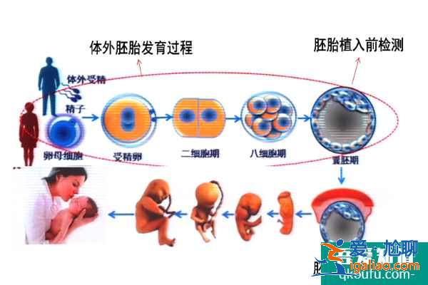 試管嬰兒專家解答：大齡女性如何規避胎停/流產風險？？