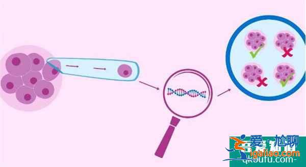 試管嬰兒專家:從4個方面確保IVF的安全性? 試管嬰兒專家:從4個方面確保IVF的安全性?
