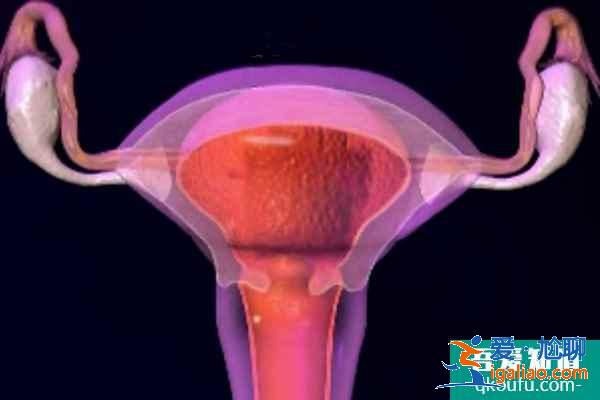 女性宮腔積水做試管嬰兒的成功率有多高？？