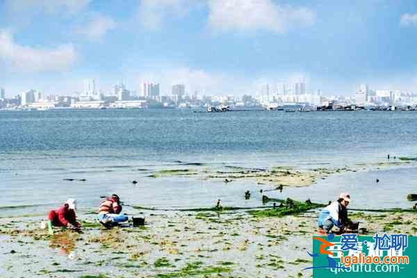 國內冬天旅游推薦 國內冬天應該去哪些地方旅游？