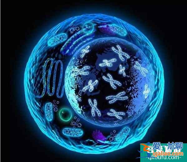 試管嬰兒技術：可以排查掉胚胎9號染色體臂間倒位嗎？？
