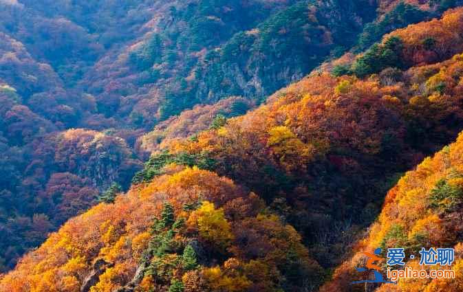 【國(guó)慶節(jié)去東北】2018國(guó)慶節(jié)去東北哪里玩，東北十一哪里好玩？